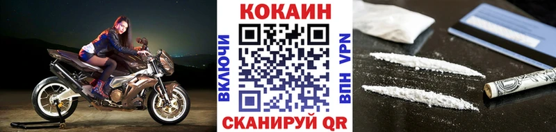 цена наркотик  Дно  Cocaine FishScale 