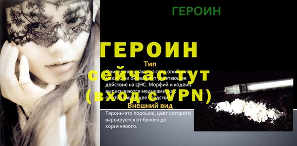 гашик Алексин