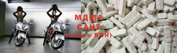 гашик Алексин