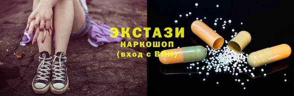 гашик Алексин