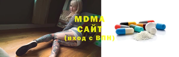 гашик Алексин