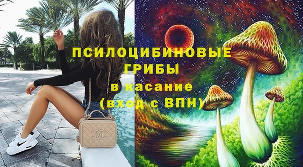 индика Рославль