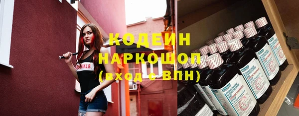 гашик Алексин