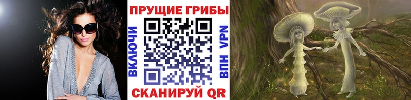 Псилоцибиновые грибы мухоморы  Дно 